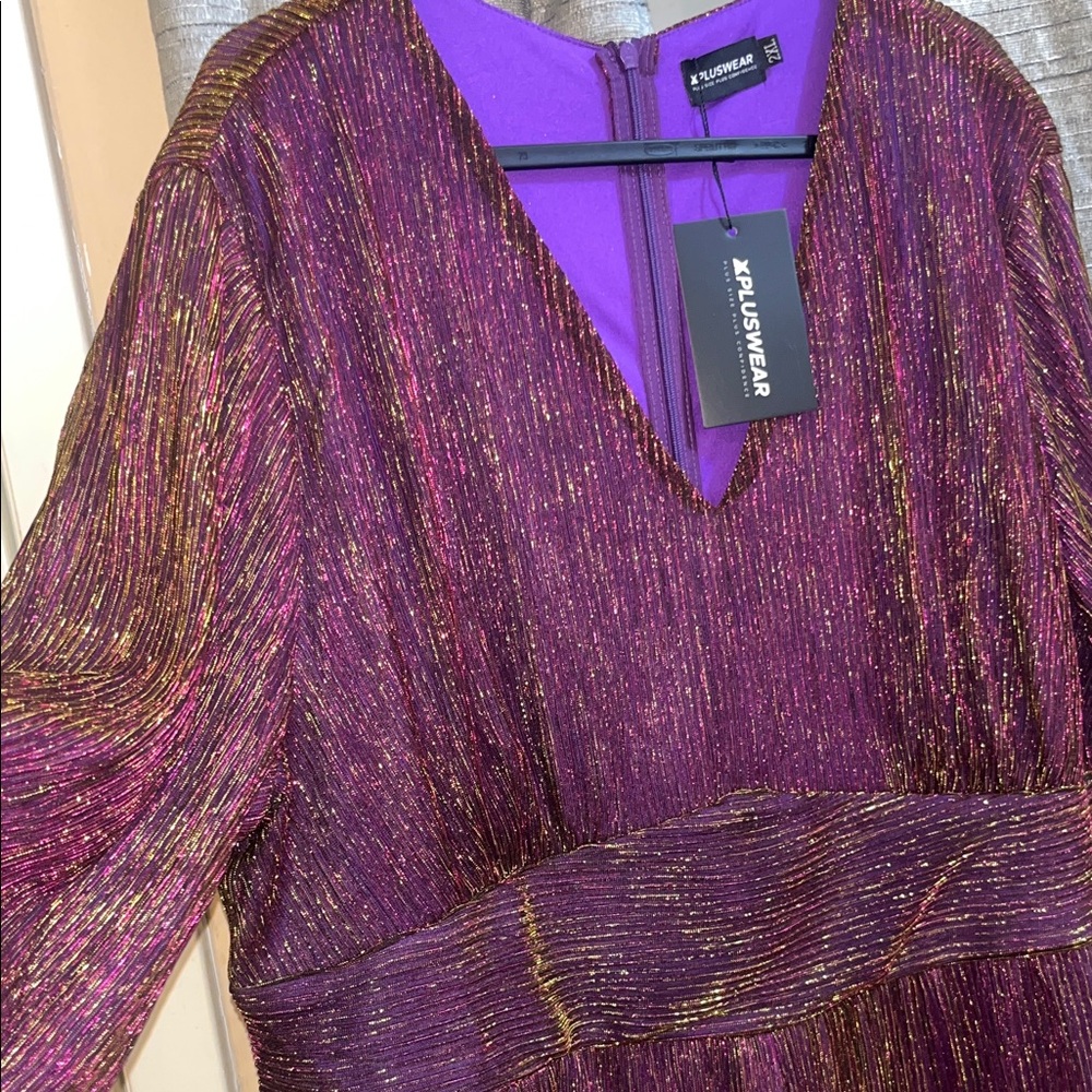 Zara Burgundy and Gold Textured Dress